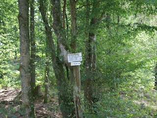 Ferienhaus Trulben Umgebung 36