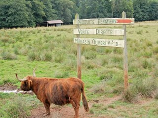 Vakantiehuis Haegen Omgeving 22