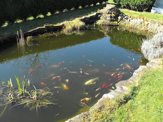 Casa per le vacanze Haegen Registrazione all'aperto 8