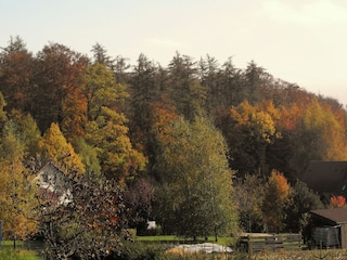 Casa per le vacanze Haegen Registrazione all'aperto 9