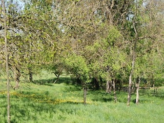 Ferienhaus Haegen Umgebung 30