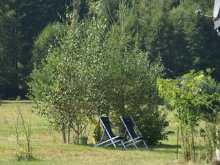 Ferienhaus Abreschviller Außenaufnahme 16