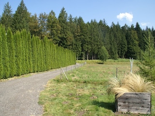 Ferienhaus Abreschviller Umgebung 32