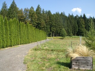 Vakantiehuis Abreschviller Omgeving 35