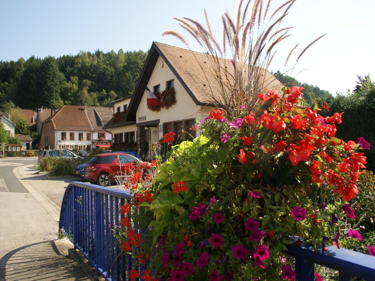 Ferienhaus Abreschviller Umgebung 31