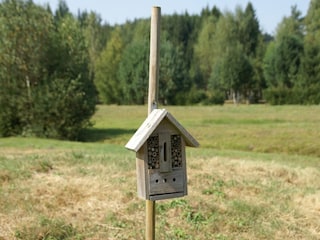 Ferienhaus Abreschviller  40