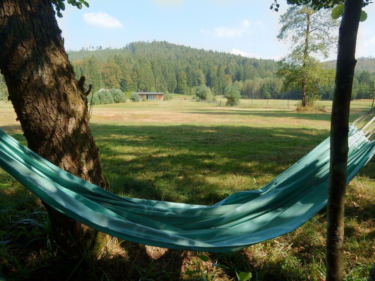 Ferienhaus Abreschviller Außenaufnahme 15