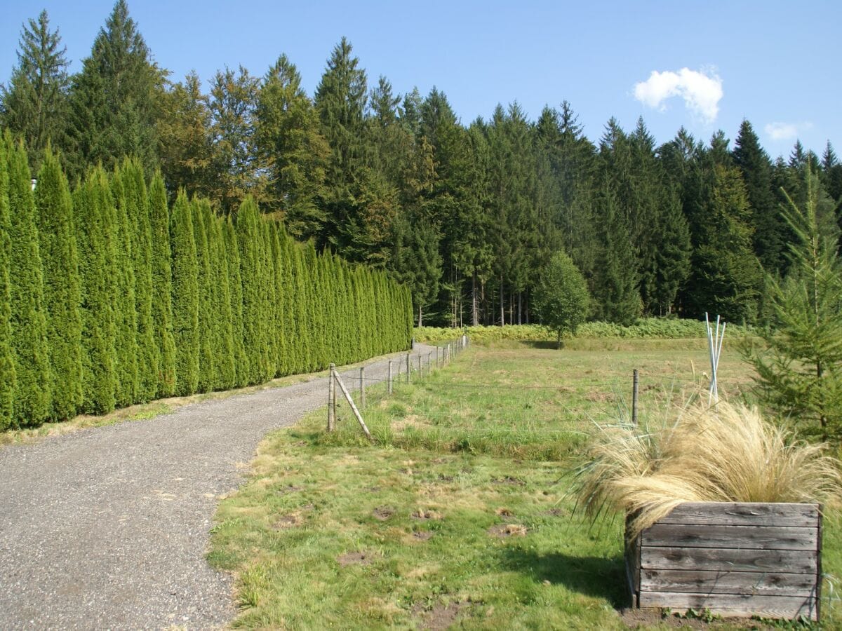 Ferienhaus Abreschviller Umgebung 34