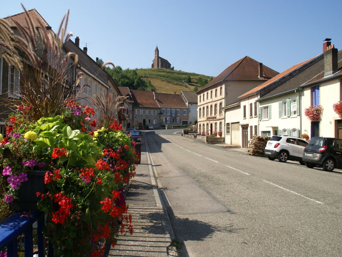 Ferienhaus Abreschviller Umgebung 35