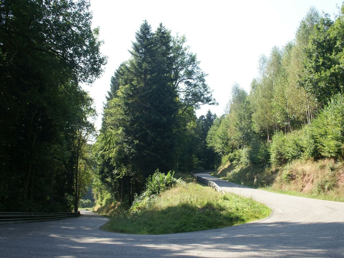 Ferienhaus Abreschviller Umgebung 36