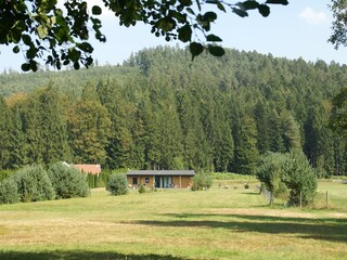 Ferienhaus Abreschviller Außenaufnahme 6