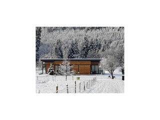 Maison de vacances Abreschviller Enregistrement extérieur 10