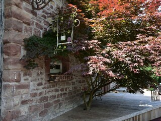 Ferienhaus Hommert  37