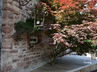 Casa de vacaciones Hommert  39