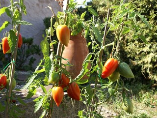 Vakantiehuis Vic-sur-Seille Buitenaudio-opname 5