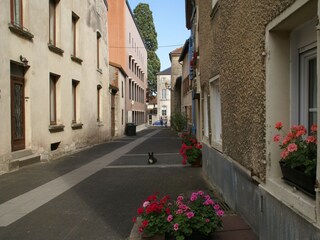 Ferienhaus Vic-sur-Seille Umgebung 21