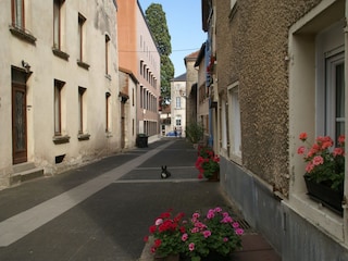 Ferienhaus Vic-sur-Seille Umgebung 23