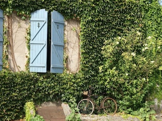 Ferienhaus Vic-sur-Seille Umgebung 24