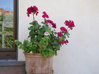 Ferienhaus Vic-sur-Seille  38