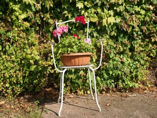 Vakantiehuis Vic-sur-Seille  37
