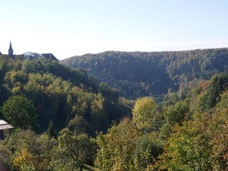 Chalet Dabo Environnement 19