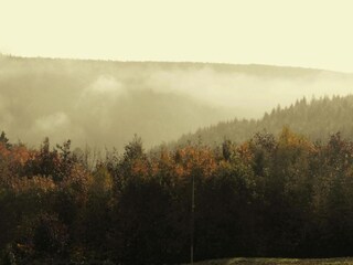 Chalet Dabo Environnement 20