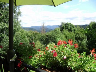 Chalet Hommert Buitenaudio-opname 13