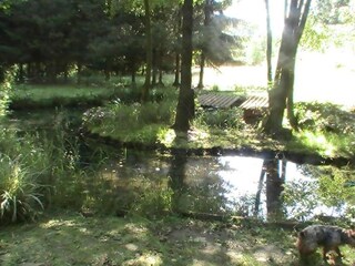 Chalet Hommert Environnement 33