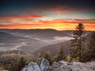 Chalet Hommert Environnement 37