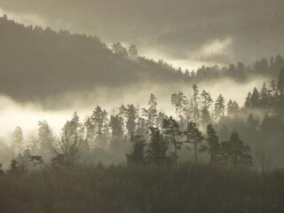 Chalet Hommert Umgebung 35