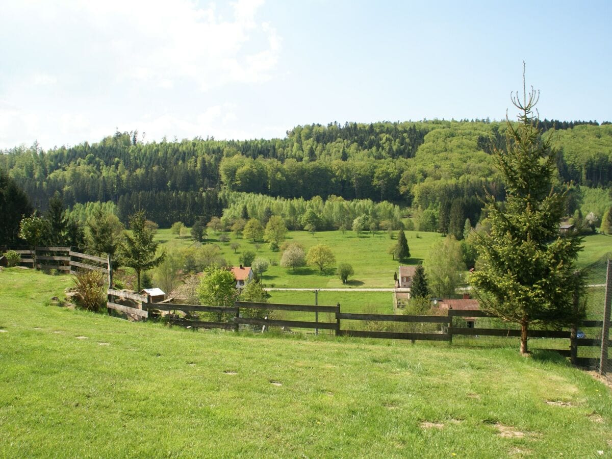 Ferienhaus Abreschviller Außenaufnahme 6