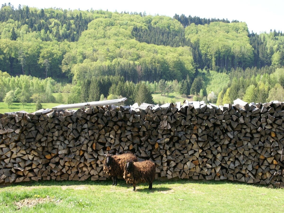 Ferienhaus Abreschviller Umgebung 31