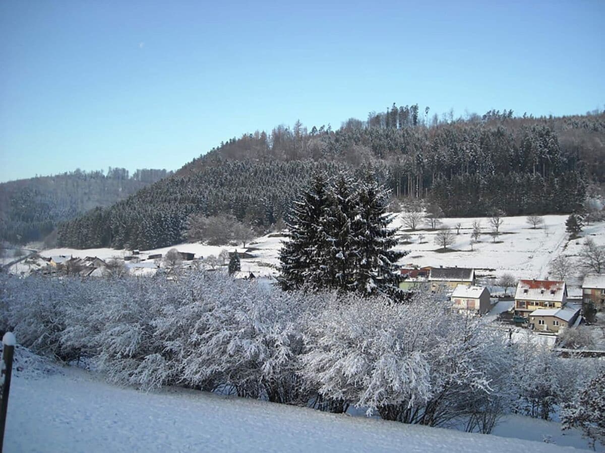 Ferienhaus Abreschviller Außenaufnahme 13