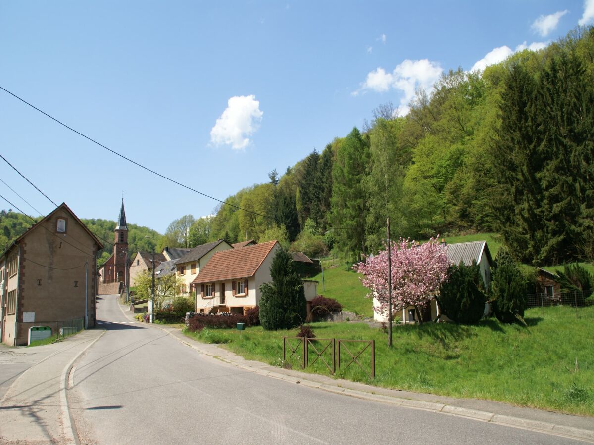 Ferienhaus Abreschviller Umgebung 33