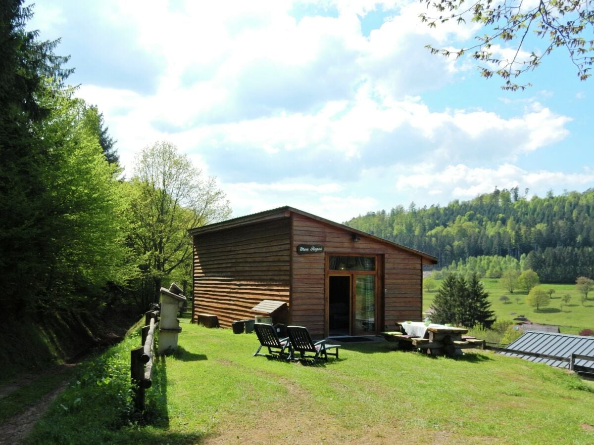 Ferienhaus Abreschviller Außenaufnahme 14