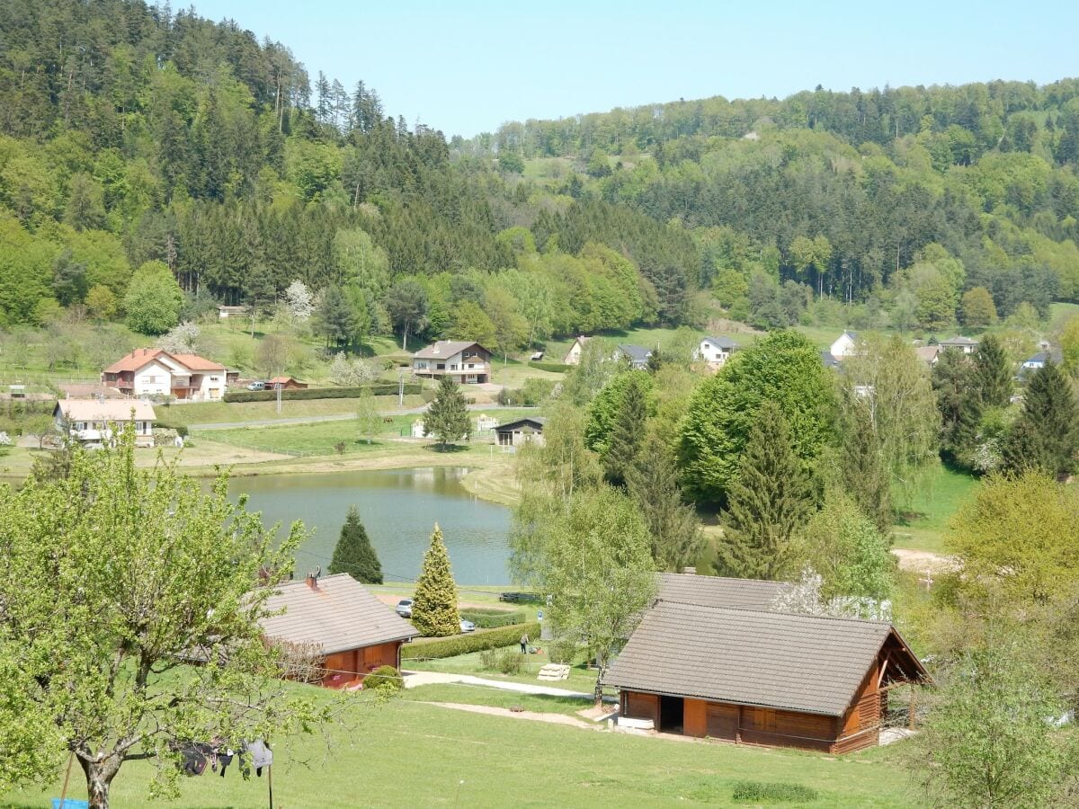 Ferienhaus Abreschviller Umgebung 35