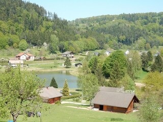 Maison de vacances Abreschviller Environnement 34
