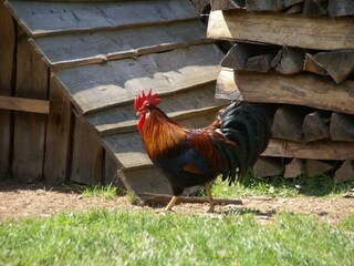 Ferienhaus Abreschviller  40