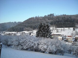 Ferienhaus Abreschviller Außenaufnahme 16