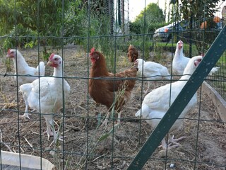 Holiday house Vignol  39