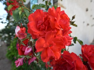 Casa de vacaciones Vignol  37