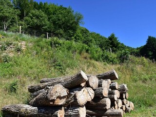 Casa per le vacanze Vignol Ambiente 31