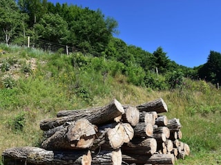 Ferienhaus Vignol Umgebung 28