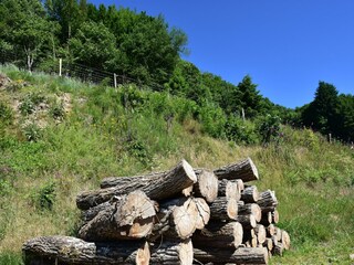 Maison de vacances Vignol Environnement 29