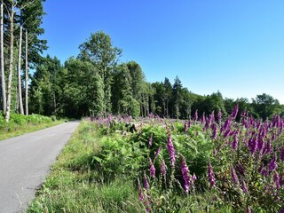 Vakantiehuis Vignol Omgeving 28