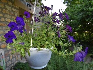 Maison de vacances Vignol  35