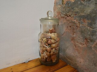 Vakantiehuis Vignol  36