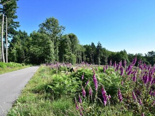 Vakantiehuis Vignol Omgeving 27