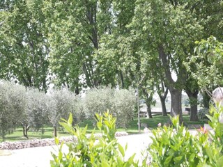 Vakantiehuis Vignol Omgeving 32