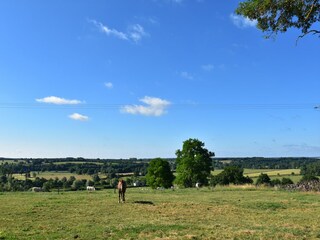 Casa per le vacanze Biches Ambiente 31